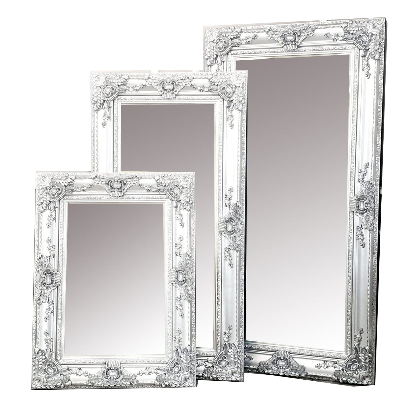 Roma Bevel Mirror in Silver - ALL SIZES